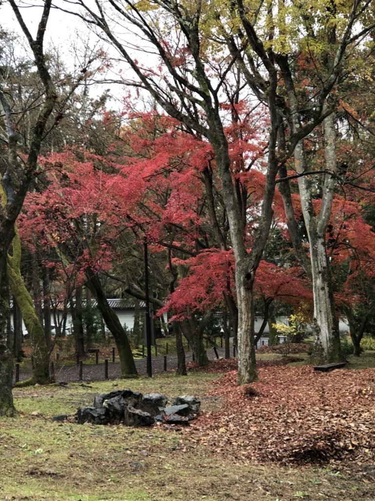 南禅寺境内の紅葉